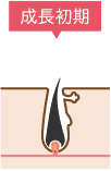 成長初期